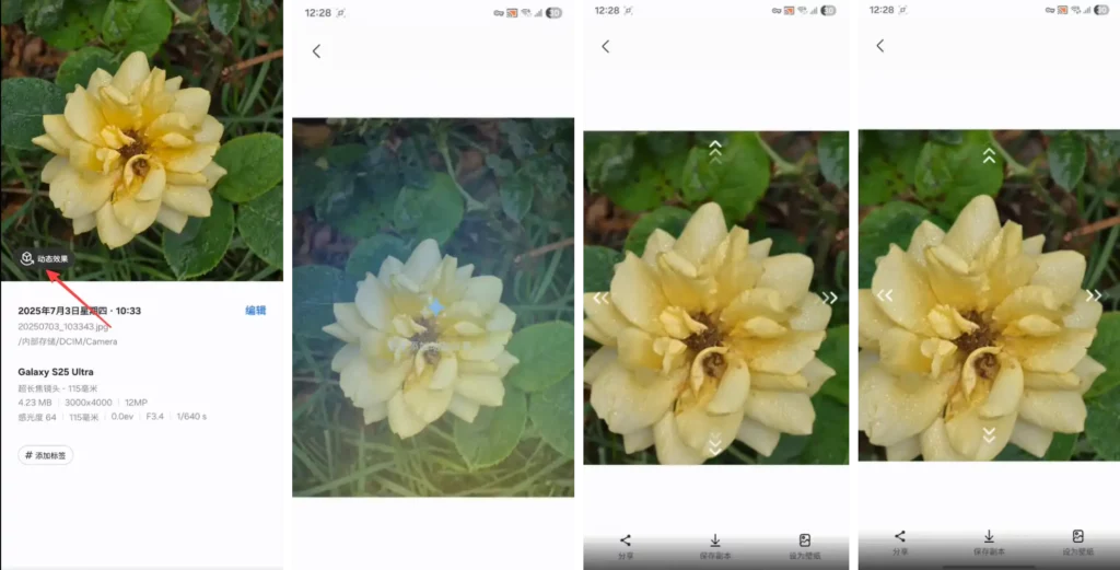 One UI 8 Dynamic Photos